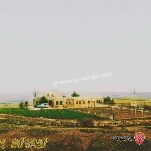 مزرعة فاخرة مساحة 17 دونم للبيع في مادبا – منطقة الزعفران