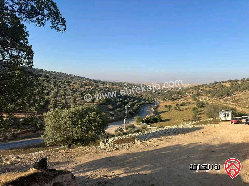  ارض مساحة 3 دونم و 400م فرصة استثمارية للبيع في الزرقاء - صروت بسعر مميز جدا 