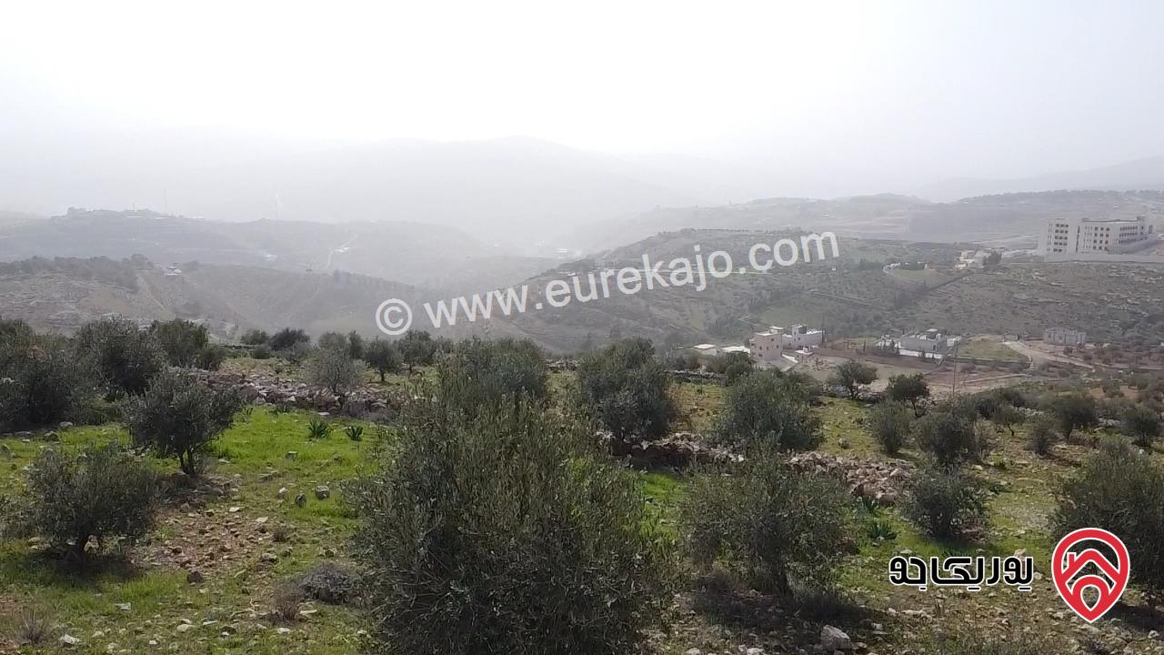 ارض مميزة مساحة 2 دونم للبيع في جرش بالقرب من جامعة جرش ومقابل جامعة البلقاء فرع جرش