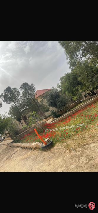 مزرعة مساحة الأرض 10 دونم والبناء 500م للبيع في عمان - منطقة وادي السير البصة ام الخنازير 