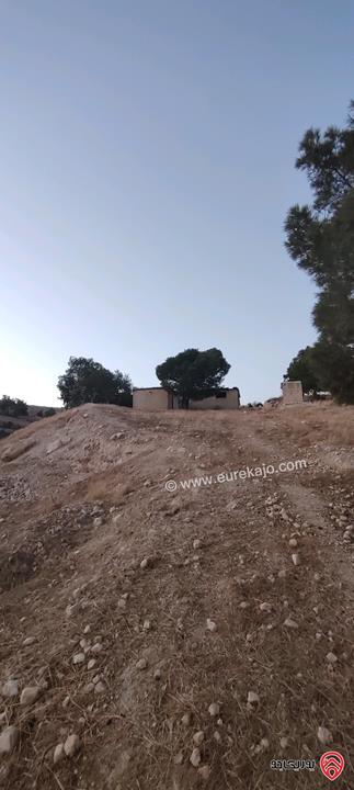 ارض مشترك محدد مساحة 3 دونم و 400م للبيع بسعر مغري في الزرقاء - صروت