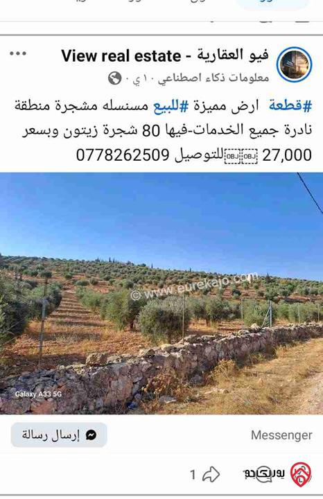 أرض مساحة 3 دونم و 400م للبيع في المفرق - نادرة