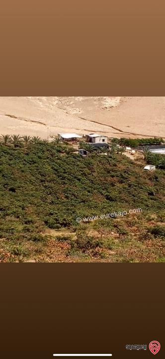 مزرعة استثمارية مساحة 60 دونم وبناء 170م للبيع في الغور 