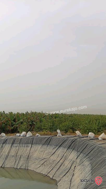 قطعة ارض مساحة 3 دونم و 400م للبيع في اربد - الأغوار الشمالية 