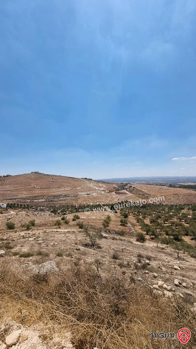 قطعة أرض مساحة 2 دونم و 892م للبيع من أراضي بني كنانة اربد - في سما الروسان