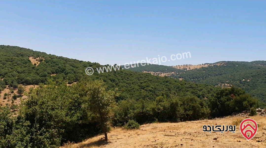أرض استثمارية زراعية مساحة 1 دونم و 815م للبيع في عجلون بإطلالة على جبال عجلون 