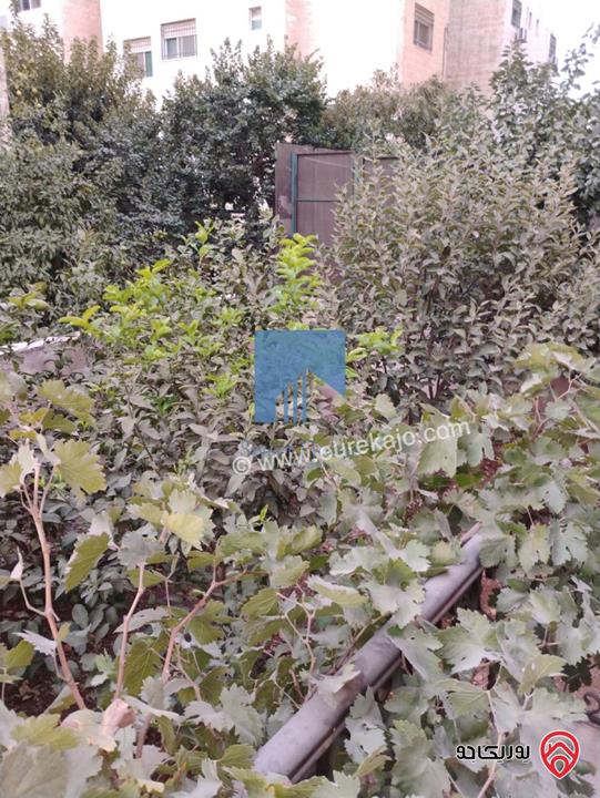 شقة أرضية طابقية مميزة للبيع في عمان - خلدا قرب الموفنبيك ومطعم ورد 207م مع حديقة وترسات 245م