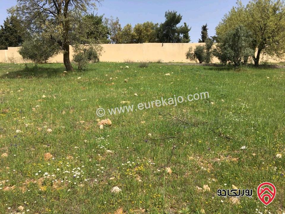 قطعة أرض مساحة 3106م للبيع من أراضي غرب عمان - قرية بلال حوض الحديب 