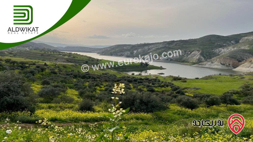 ارض مميزه للبيع في غور الرامه / البحر الميت مساحة 715 م منطقة شاليهات حديثة