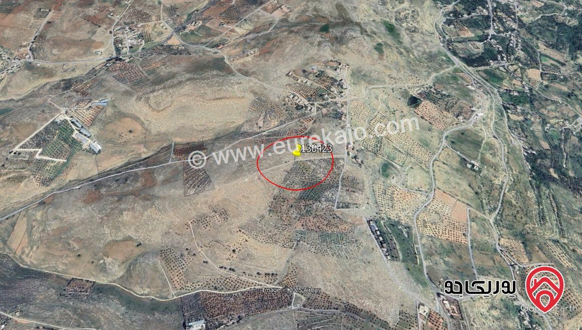 أرض مساحة 16000م للبيع في عمان - عراق الأمير