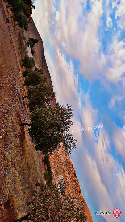 قطع أراضي بمساحات من 450م - 500م للبيع في الزرقاء - بيرين