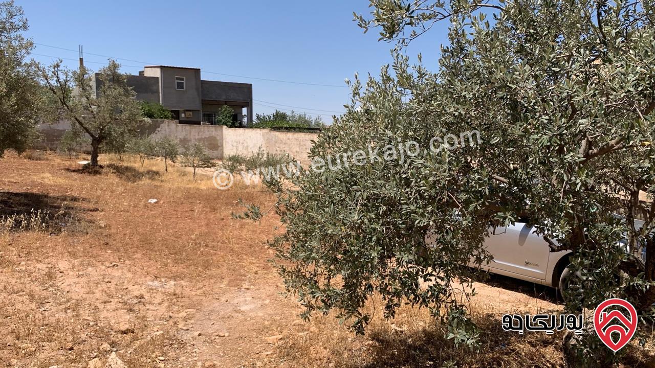 مزرعة مساحة الأرض 2 دونم للبيع بدون منزل في جرش حي الجبارات