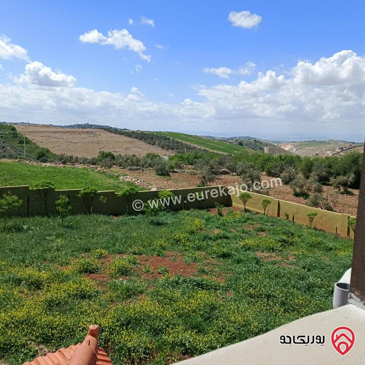 فيلا ومزرعة مفروشة مساحة 200م على أرض 2 دونم للايجار في اربد - طريق البترول منطقة هادئة وجميلة ومستقلة