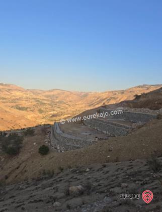 مدرسة على أرض 2250م للبيع في عمان - سحاب