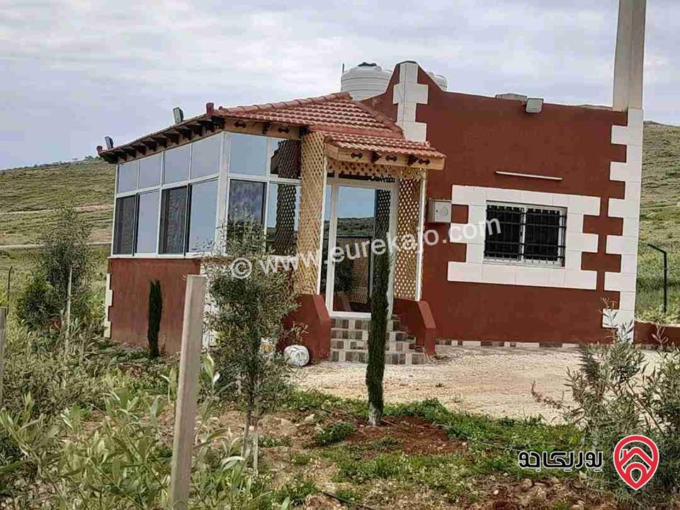 مزرعة مساحة 4 دونم للبيع في المفرق - بلعما 