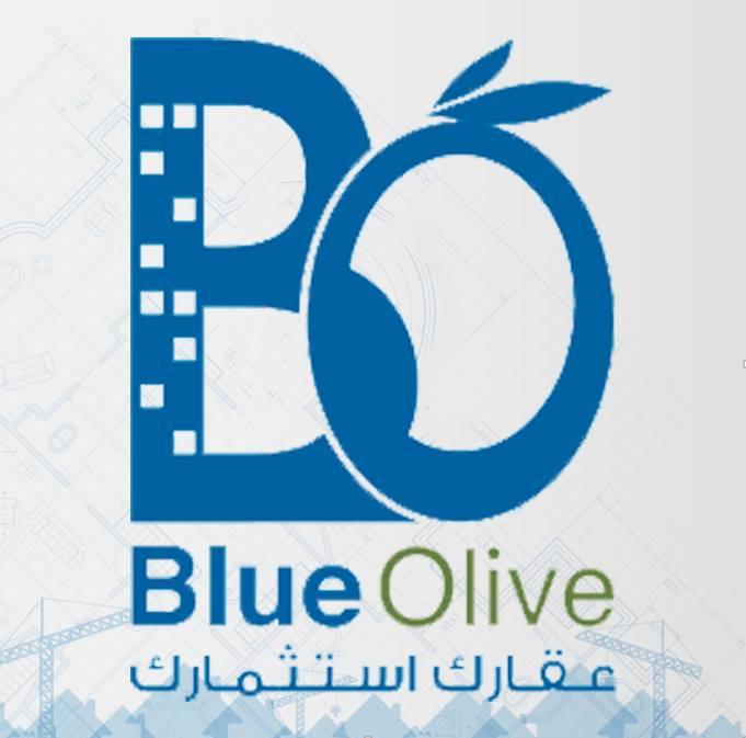 Blue Olive Real Estate Amman 