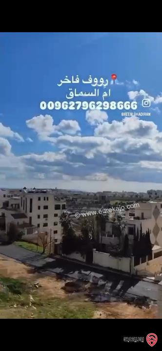 رووف طابقي مساحة كلية 463م للبيع في عمان - ام السماق 