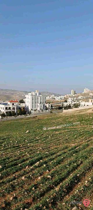 ارض مساحة 767م للبيع في عمان - شفا بدران 