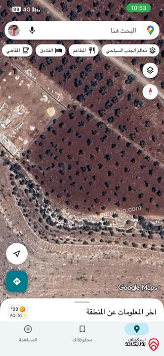 قطعة ارض مساحة 13 دونم و 800م للبيع في اربد - ملكا السهل الجواني