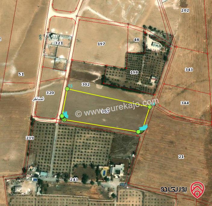 قطعة أرض مساحة 8298م للبيع في عمان - منطقة أحد البيضاء	