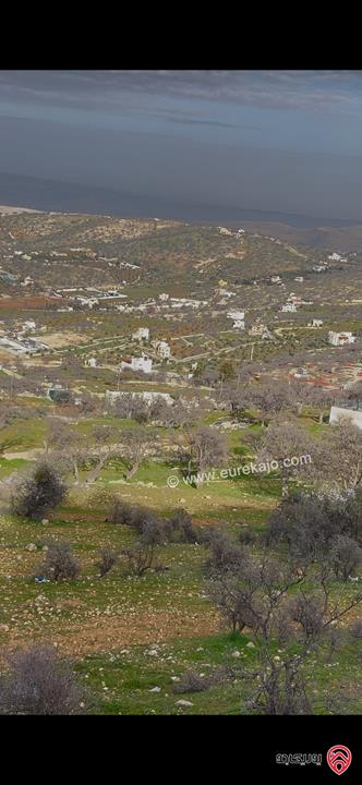 ارض مساحة 3 دونم و 750م للبيع في الزرقاء - العالوك