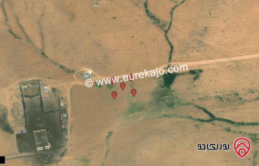 اربع قطع متجاورات مساحتهم معاً 1248م للبيع من اراضي جنوب عمان حوض الموارس