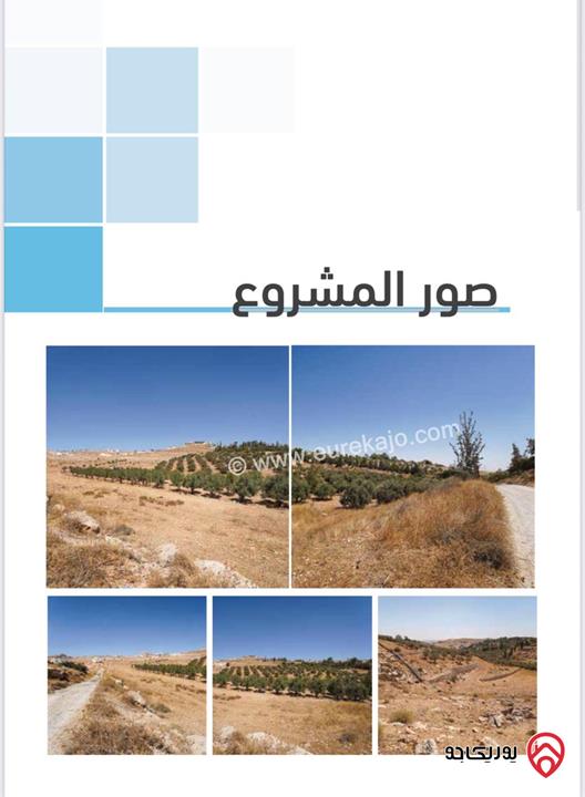 اراضي مساحات من 750م - 850م للبيع في عمان - شفا بدران