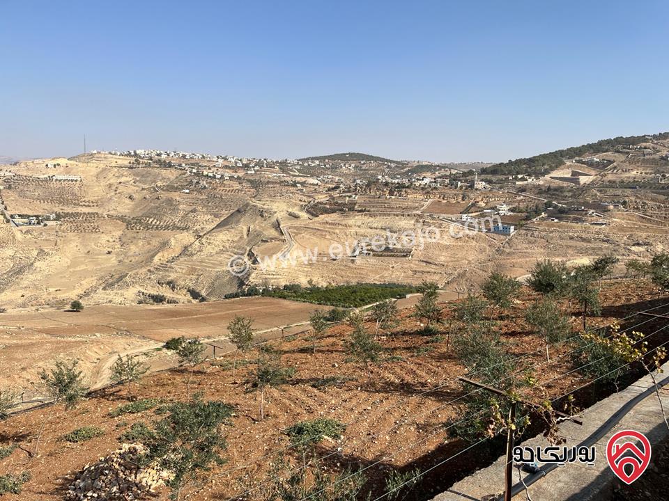 مزرعة مساحة البناء 400م على أرض 10 دونم للبيع في البلقاء - تل الرمان