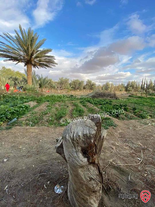 مزرعة مساحة 17 دونم وبير ارتوازي مرخص للبيع في الازرق 