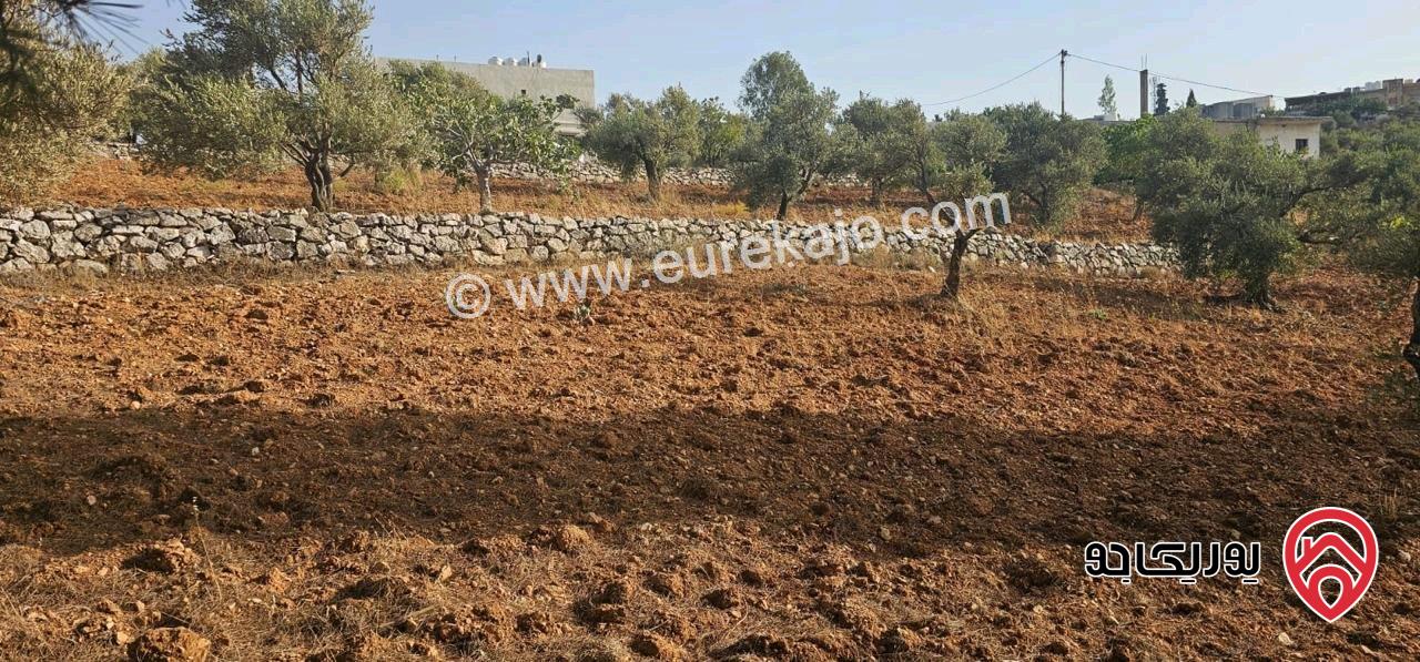 قطعة أرض ريفية مساحة 7 دونم للبيع في في جرش سوف حوض بيدر الحمص 