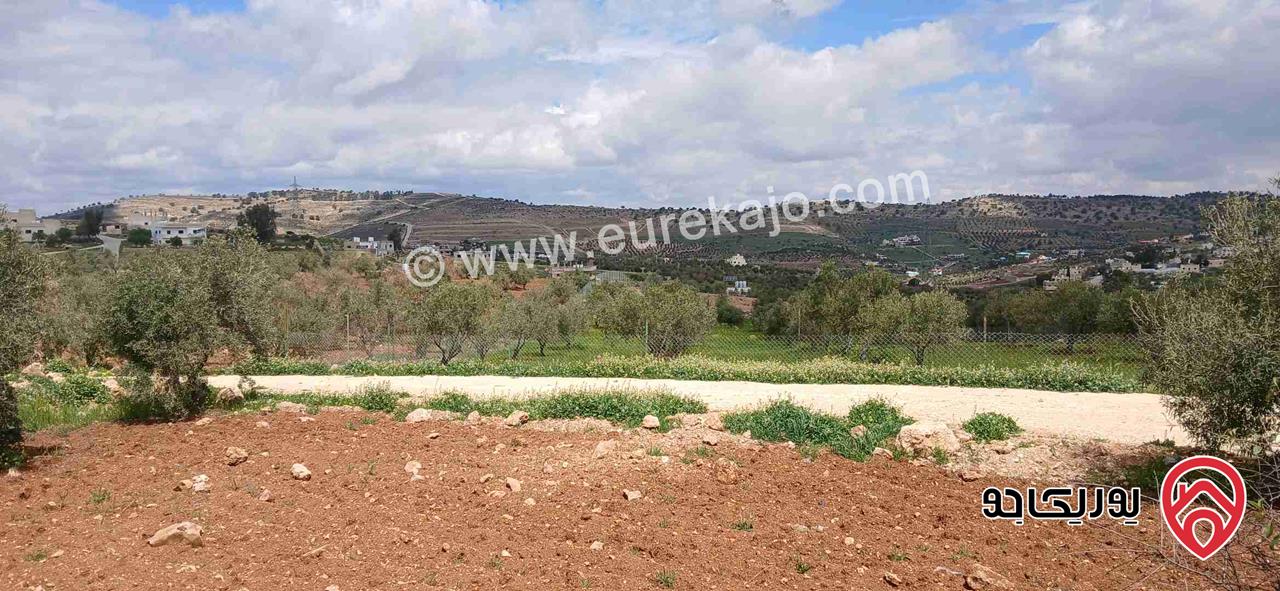 أرض مناسبة لمزرعة مساحة 3 دونم و 88م للبيع في الزرقاء - الكمشة