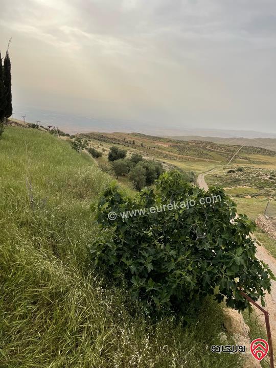 قطعة أرض مميزة مساحة 5 دونم للبيع في عمان - ناعور المشقر