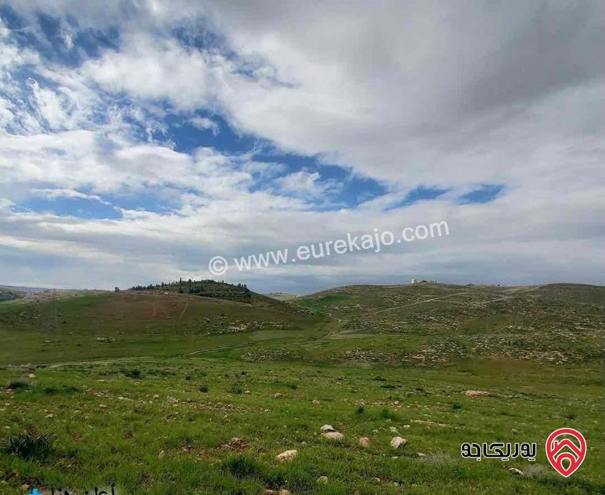 أرض مساحة 10294م للبيع في عمان في منطقة شفا بدران زينات الربوع من المالك مباشره