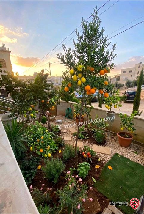 شقة أرضية مساحة 186م داخلي و 30م خارجي للبيع مفروشة في عمان - الجندويل