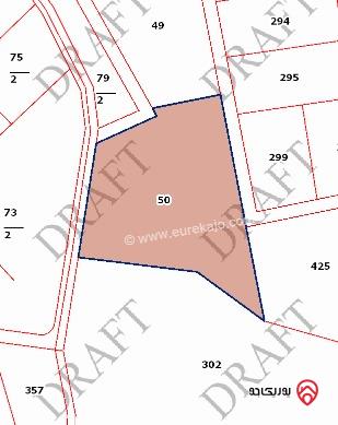 أرض مساحة 15 دونم للبيع في السلط - الصبيحي