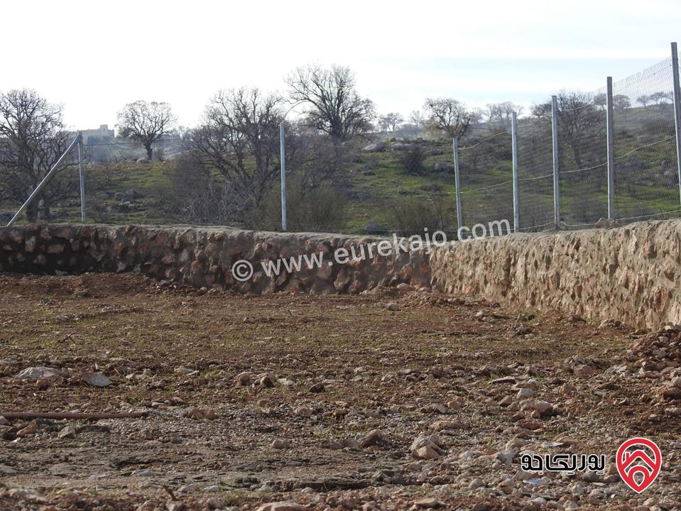 أرض مساحة 3 دونم و 500م للبيع في الزرقاء - العالوك