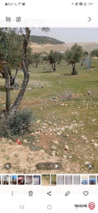 قطعة أرض 400م على 3 شوارع للبيع في الزرقاء - طريق بيرين بالقرب من الطاقة   