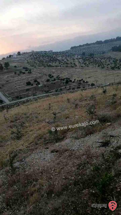 مزرعة مساحة 3400م للبيع في شرق جرش منطقة شاليهات عالية ومطلة