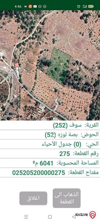 مزرعة مساحة 6041م للبيع في جرش - سوف