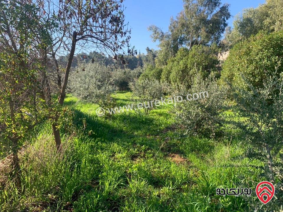 مزرعة مساحة الأرض 4 دونم والبناء 200م للبيع في البلقاء - منطقة تل الرمان 