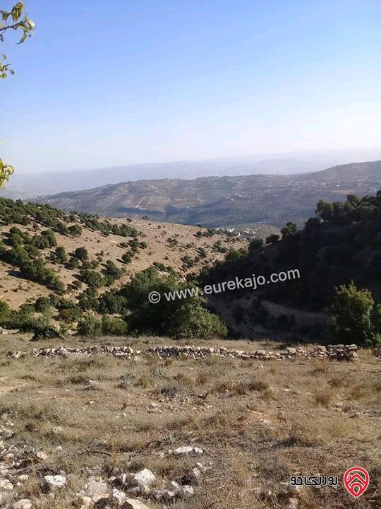 قطعة ارض مساحة 26 دونم للبيع في جرش - سوف