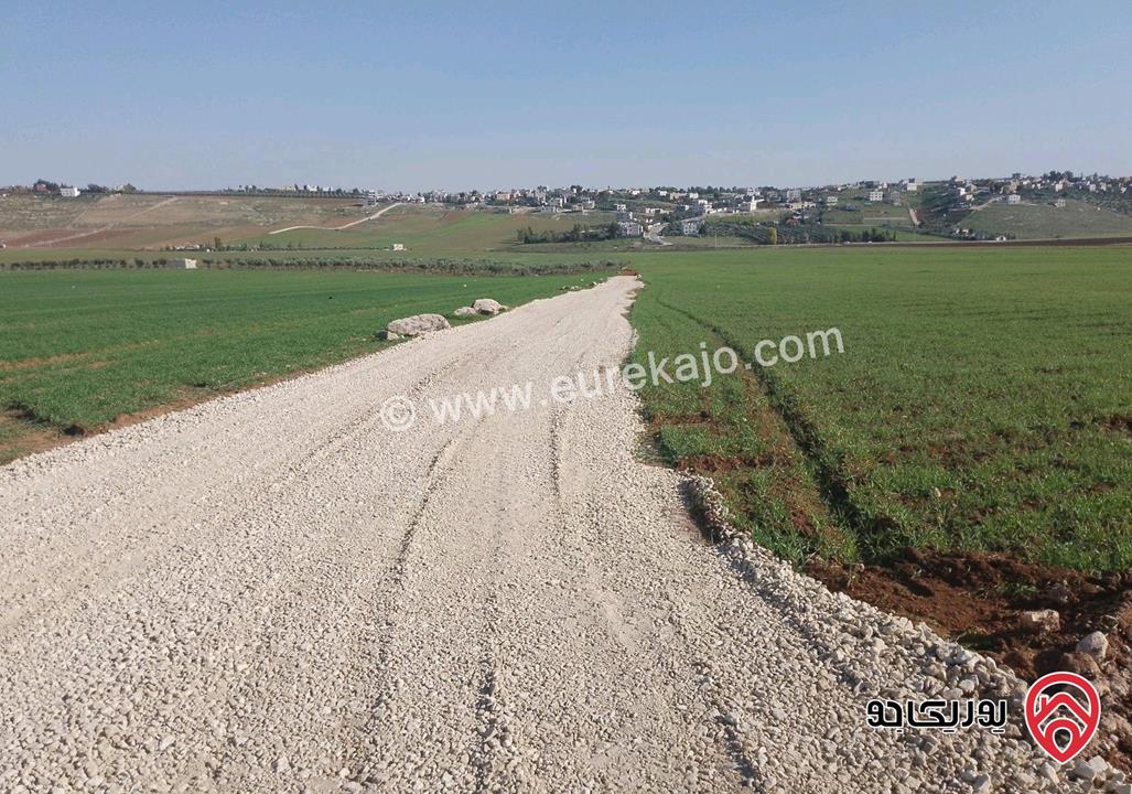 قطعة أرض مساحة 5300م زراعية مميزة واصل الخدمات للبيع في مادبا - ماعين غرابيات ام راسين 