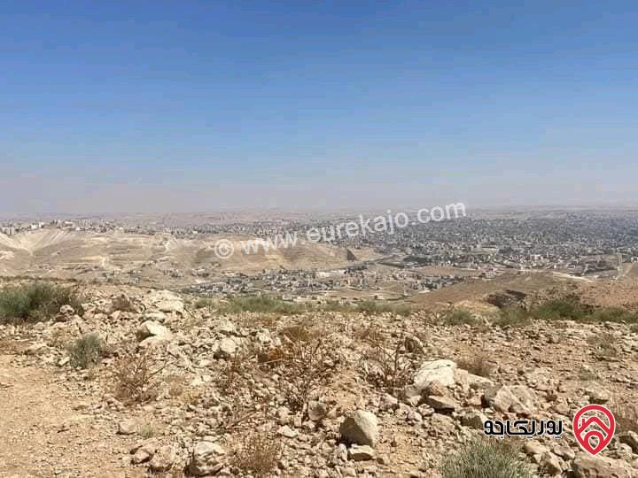 ارض مساحة 3 دونم و 400م قوشان مستقل بسعر مغري جداً للبيع في الزرقاء - شومر