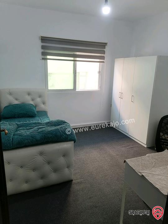 شقق مفروشة للايجار في اربد شارع الجامعة 