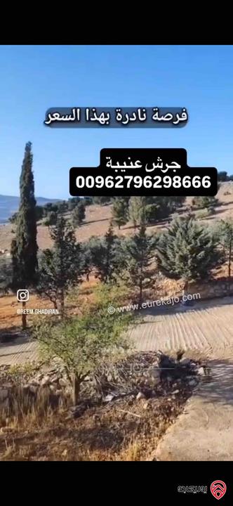 قطعة ارض استثمارية مساحة 3 دونم و 400م للبيع في جرش عنيبة