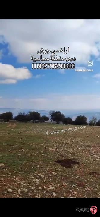 قطعة ارض استثمارية مساحة 1 دونم سياحية للبيع في جرش دبين