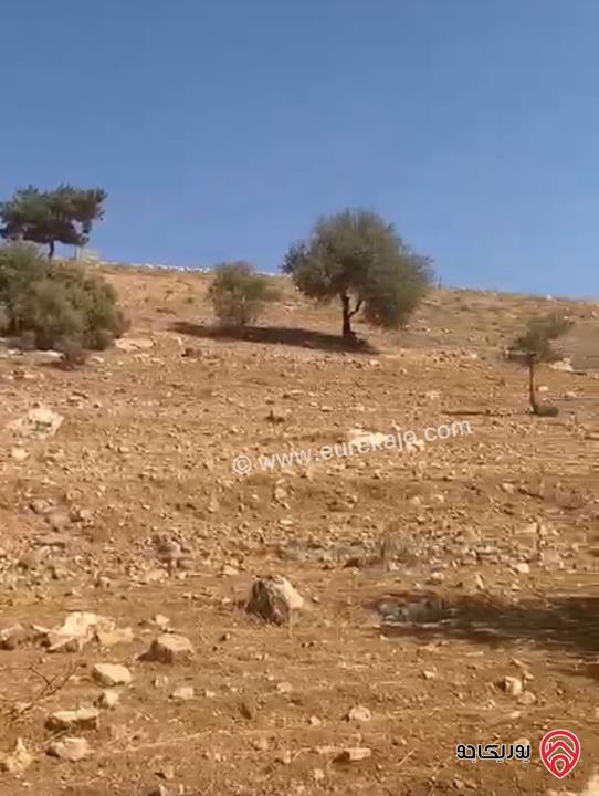 قطعة أرض مساحة 6 دونم و 721م للبيع في جرش - بليلا 