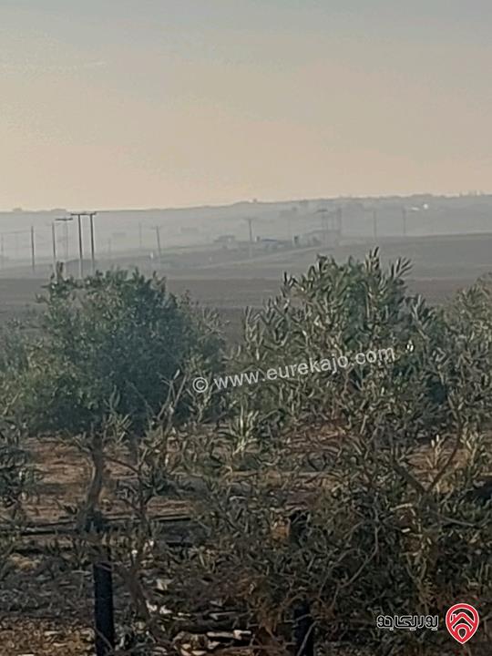 قطعة أرض مساحة 4 دونم و 500م للبيع من أراضي جنوب عمان - المسيطبه