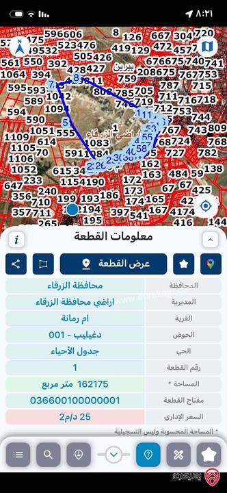 قطعة ارض مساحة 6 دونم مشترك داخل التنظيم سكن ج للبيع في الزرقاء - بيرين ام رمانه