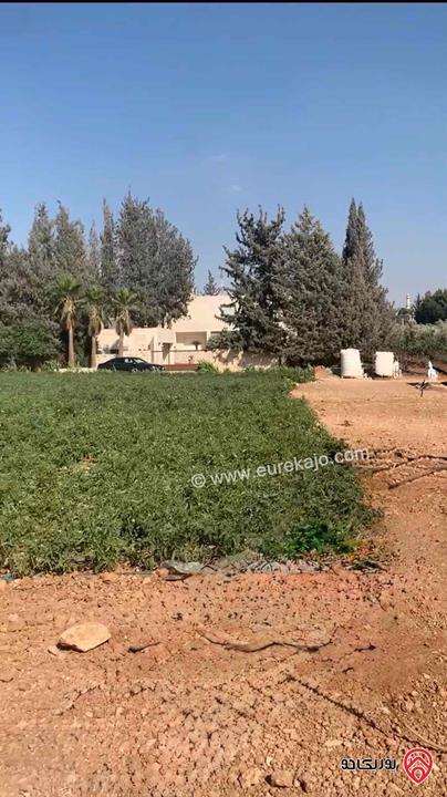 قطعة أرض مساحة 2 دونم للبيع في عمان - ام العمد طريق المطار افراز أ سكن أخضر منطقة فلل و شاليهات